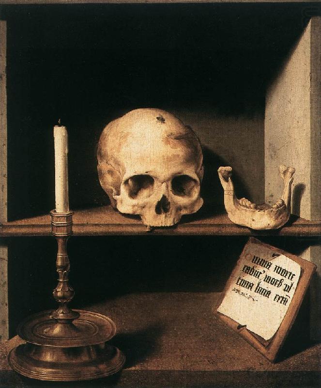 Vanitas Still-Life, BRUYN, Barthel